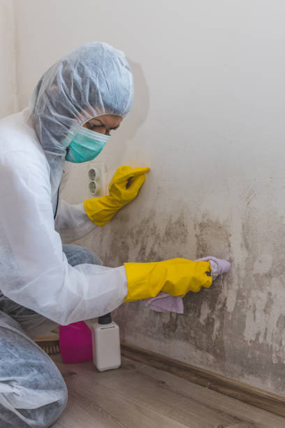 Best Residential Mold Inspection & Testing  in Fox Crossing, WI