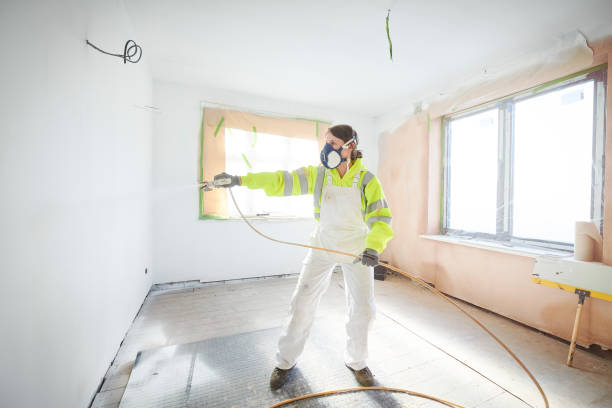 Best Black Mold Removal  in Fox Crossing, WI