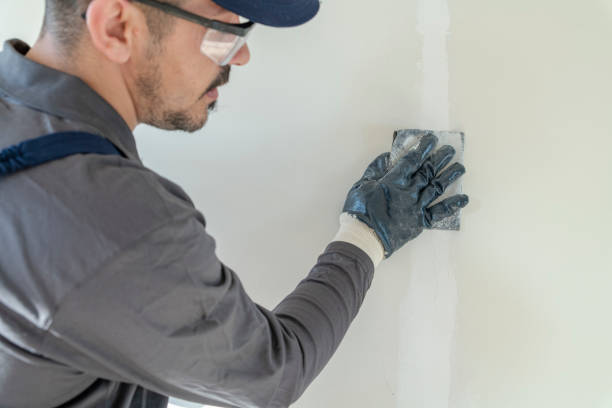 Best Mold Remediation for Healthcare Facilities  in Fox Crossing, WI